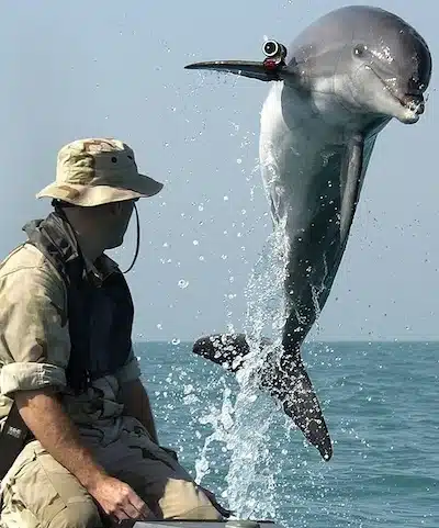 Andy Andrews with dolphin